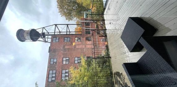 3 1/2 - Montréal (Hochelaga / Maisonneuve) - 1 800 $/mois - Photo 2
