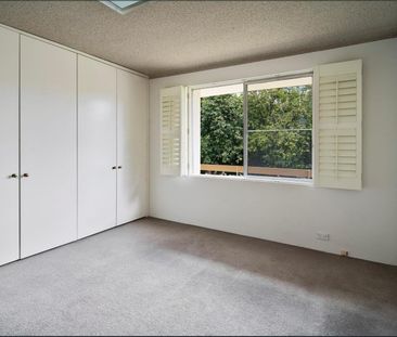 1/42 Archer Street, Chatswood NSW 2067 - Apartment For Rent | Domain - Photo 5