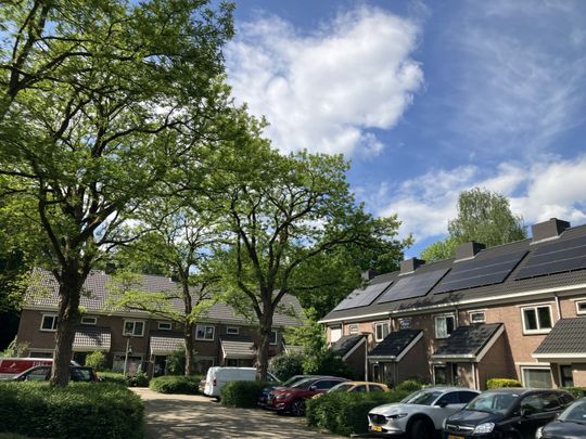 Te huur: Landgraafstraat 50 - Photo 1