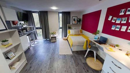 Gold Studio - Photo 4