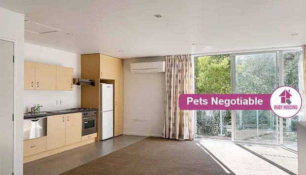 Warm and sunny apartment in Ferrymead - Photo 1