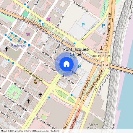 1869 Boulevard René-Lévesque Est, Ville-Marie, Montréal