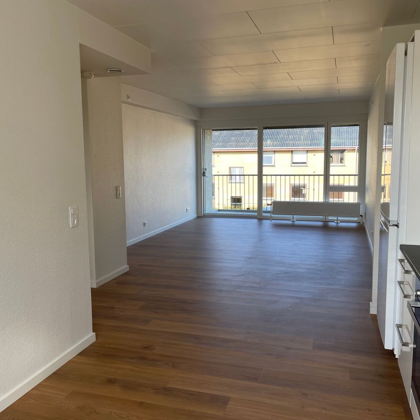 Engparken, 26 st. th., 7830, Vinderup - Foto 1