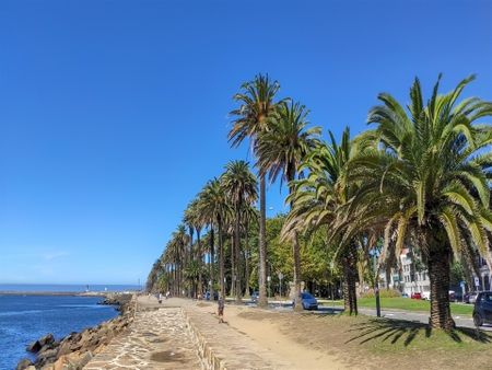 Apartamento T2 - Photo 2