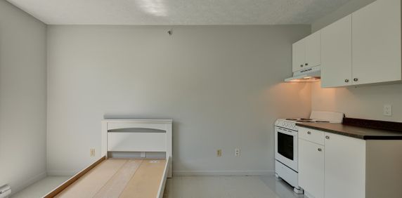 Studio 1 1/2 Sherbrooke - Photo 2