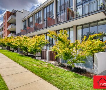 8/20 Eyre Street, Kingston ACT 2604 - Apartment For Rent | Domain - Photo 6
