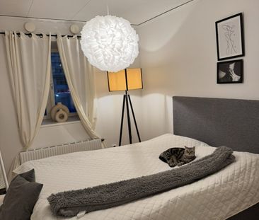 Skorpionens gata, Brandbergen - Foto 2