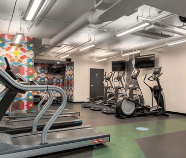 The International - Photo 6