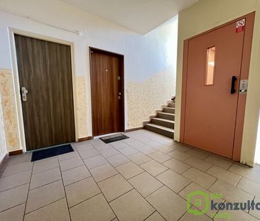 Pronájem bytu 2+1 50 m² - Photo 2