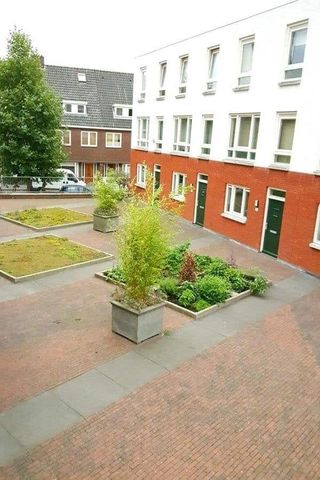 Hoog Gagel - Photo 3