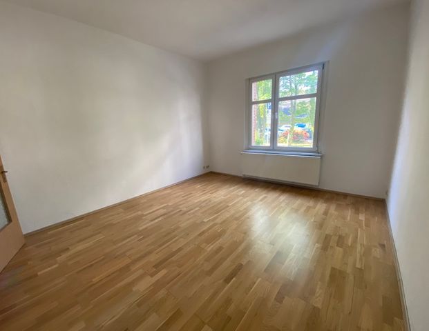1-Raum-Wohnung im Erdgeschoss zu vermieten - Foto 1
