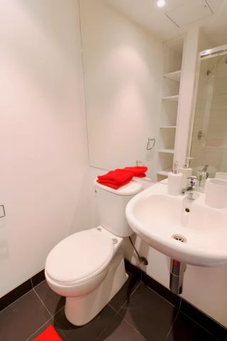 Large 1 Bedroom - Photo 3