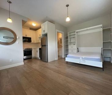 Tiny Condo Under 300SQFT / Murphy Bed Included / Single Occupant Only - Photo 3