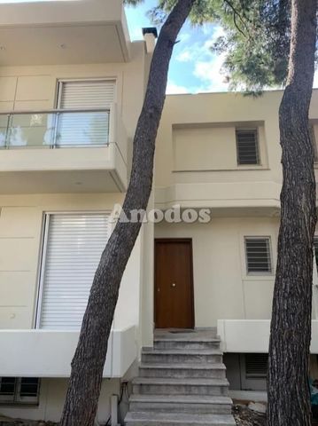 Μονοκατοικία για ενοικίαση Εκάλη - Photo 3
