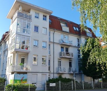 Helle 2 Zimmerwohnung mit Parkettboden, Fußbodenheizung und Balkon - Photo 2
