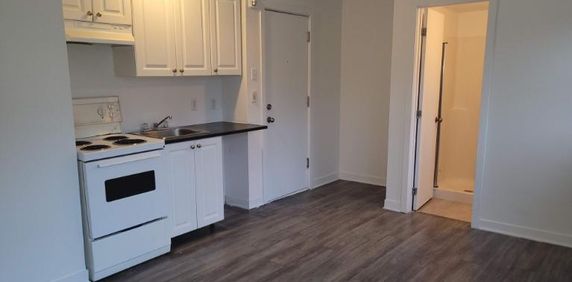 1 CH - 1 SDB - Montréal - $995 /mo - Photo 2