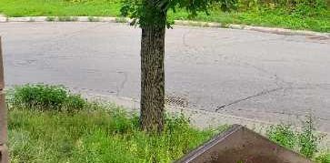 superbe 4 1/2, 2 ch fermées, Ahuntsic - Photo 2