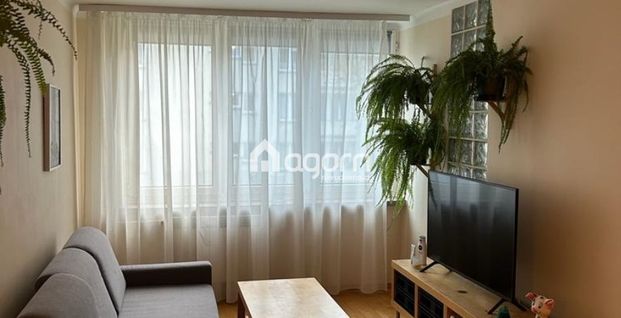 Bielsko-Biała, Górne Przedmieście Mieszkanie na wynajem - Фото 1