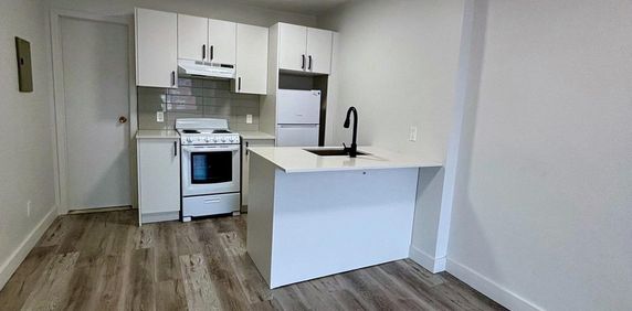 1 Bed, 1 Bath - 5576 Rue Saint-Denis, Montréal - Photo 2