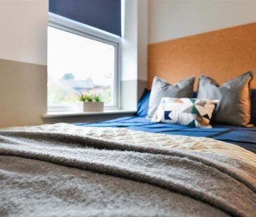 Studio to rent - Photo 4