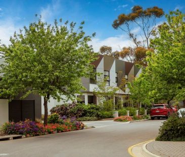 Will Situated Townhouse in the Heart of St Clair - Photo 1