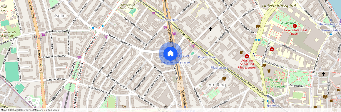 Spalenring 30, 4055, Basel