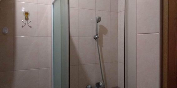 Garsoniera de inchiriat Zizin - Fotografie 3