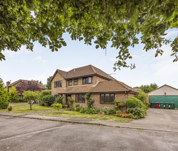 House - Detached For Rent Conifer Drive, Chichester - Photo 4
