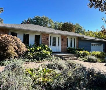 For Lease - 229 Church Street, Markham, Ontario - Photo 3