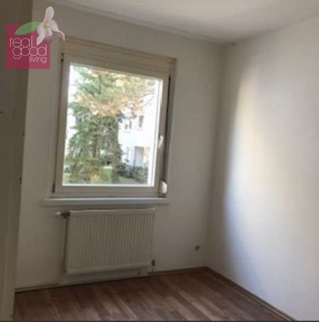 Erster Stock ohne Lift: Gut aufgeteilte 2 Zimmerwohnung in gesuchter Lage - Photo 4