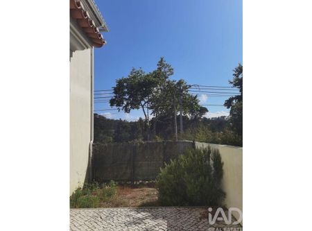 Leiria, Leiria - Photo 5