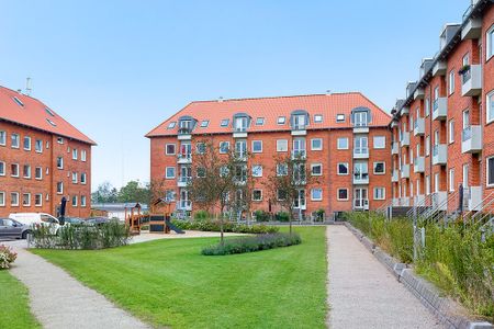 Afd. 23 Kodammen 6 - Photo 5