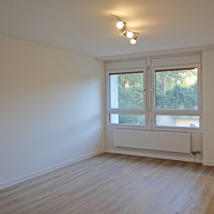 1 Zimmer, 25 m², 2. Stock - Photo 1