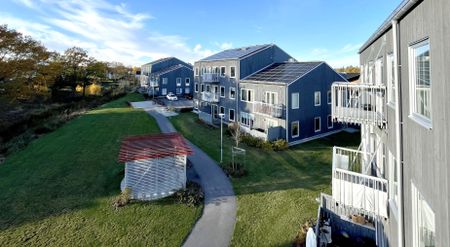 Sidenvägen, Kalmar - Foto 3