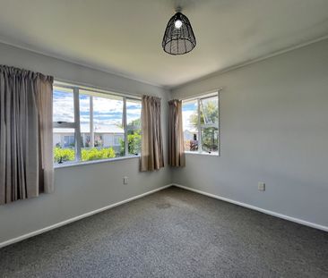 Park Road South, Akina - Photo 6