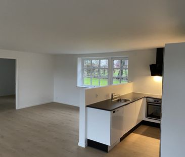 Bo idyllisk i nyistandsat 4 værelses lejlighed i Vinkel - Foto 5