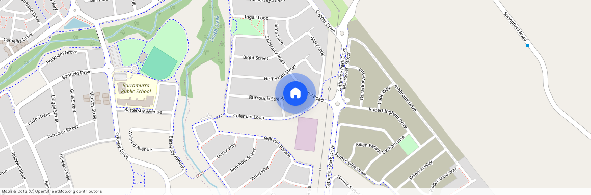 3 Burrough Stret, NSW 2557, Catherine Field