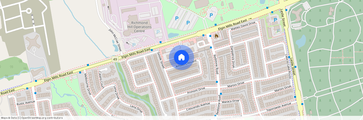 133 Amulet Crescent, Richmond Hill