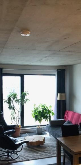 3 1/2 - Montréal (Ville-Marie (Centre-ville)) - 1 700 $/mois - Photo 1