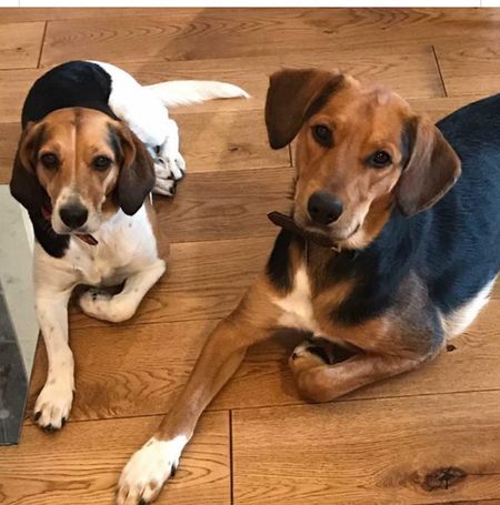 Blackensvägen, Aelvsjoe - Photo 3