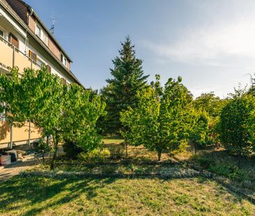 3-Zimmer-Wohnung in Weisenheim am Sand - Photo 3