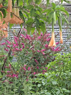 Wollongong CBD - Photo 1