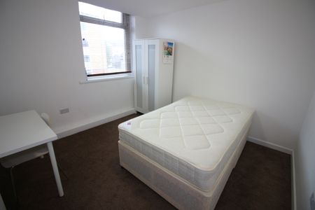 Cranbrook Street, Cathays - Photo 4