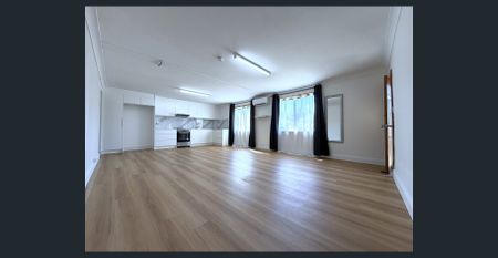 Huge renovated 1 bedroom house-ground level - Photo 3