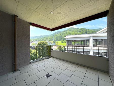 Top modern apartment on the Sihl - Foto 4