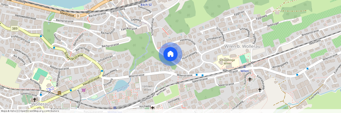 8832, Wilen b. Wollerau, Schlyffistrasse, 41