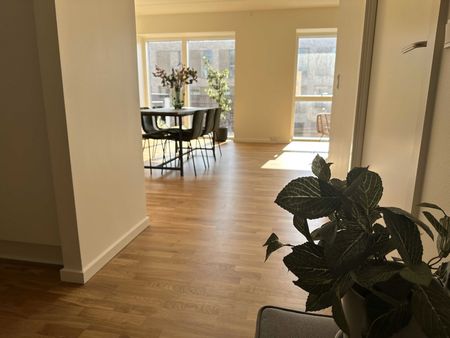 Hollænderen 4, 2. TH - Foto 2