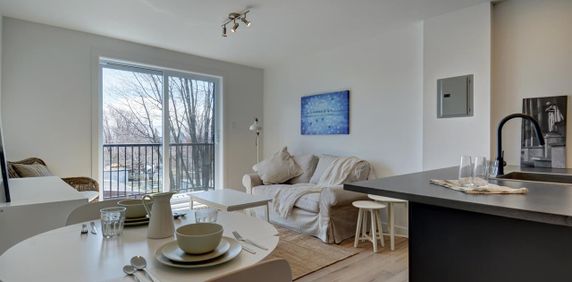 Langevin Appartement 3 ½ à Louer Beauport Juillet 2026 - Photo 2