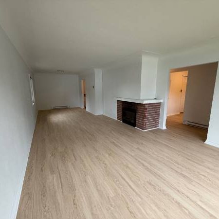 Large 3 bedroom suite in Fernwood. Fresh Paint and brand new flooring - Photo 3