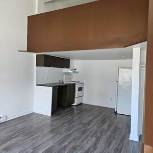 1 CH - 1 SDB - Montréal - $1,300 /mo - Photo 2